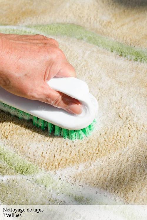 Nettoyage de tapis 78 Yvelines  La clinique de la chaise