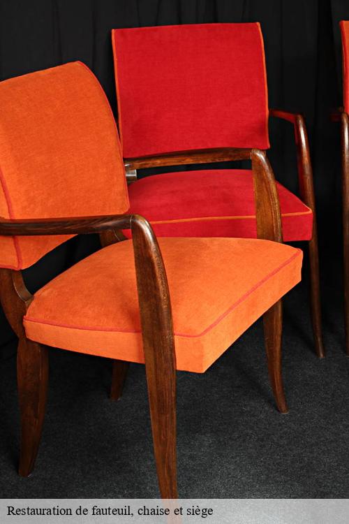 Restauration de fauteuil, chaise et siège  gaillon-sur-montcient-78250 La clinique de la chaise