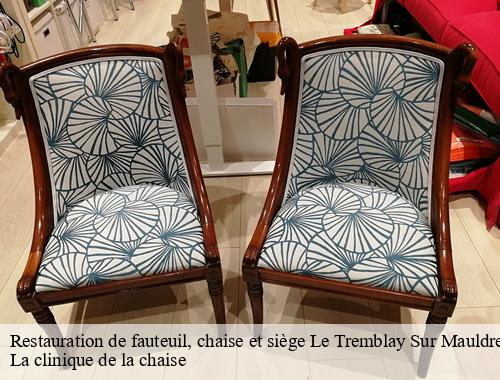 Restauration de fauteuil, chaise et siège  le-tremblay-sur-mauldre-78490 La clinique de la chaise