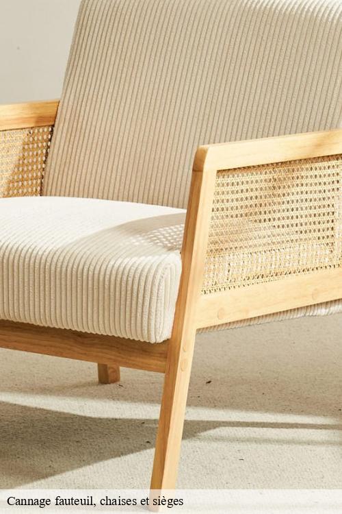 Cannage fauteuil, chaises et sièges  lainville-78440 La clinique de la chaise