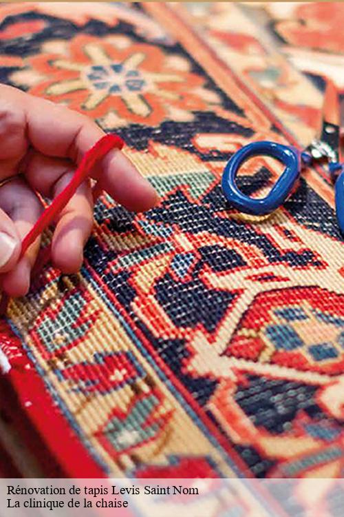 Rénovation de tapis  levis-saint-nom-78320 La clinique de la chaise