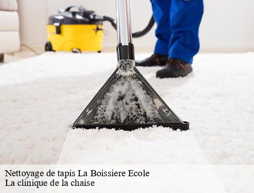 Nettoyage de tapis  la-boissiere-ecole-78125 La clinique de la chaise