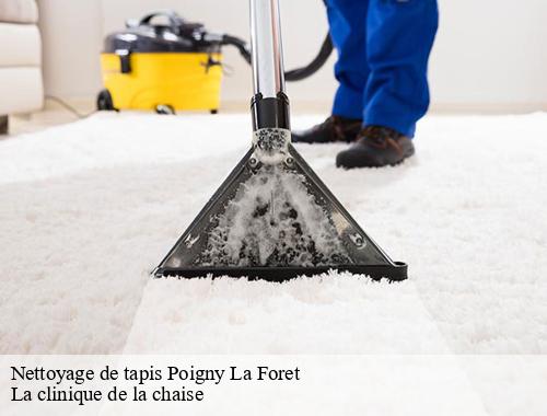 Nettoyage de tapis  poigny-la-foret-78125 La clinique de la chaise