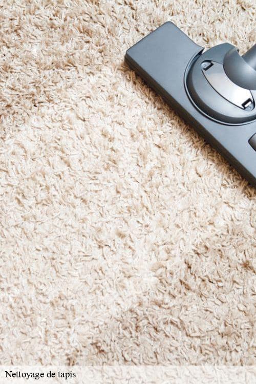 Nettoyage de tapis  poissy-78300 La clinique de la chaise