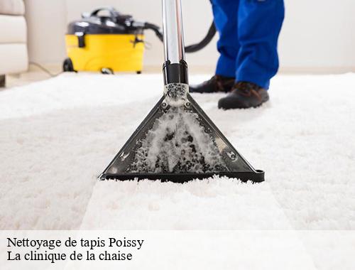 Nettoyage de tapis  poissy-78300 La clinique de la chaise
