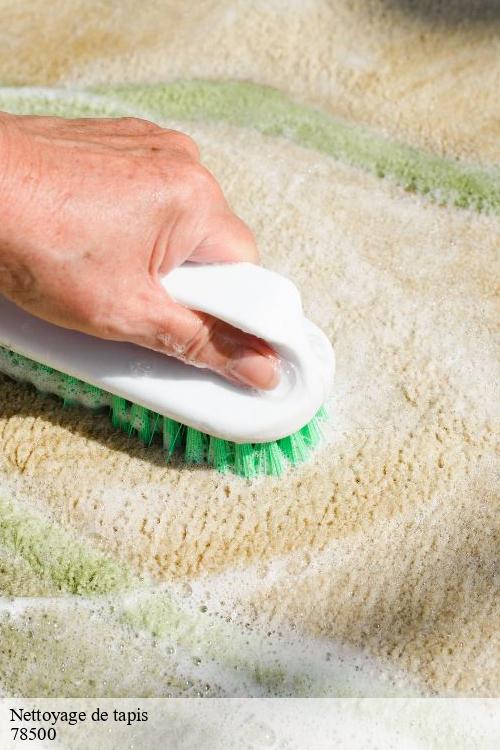 Nettoyage de tapis  sartrouville-78500 La clinique de la chaise
