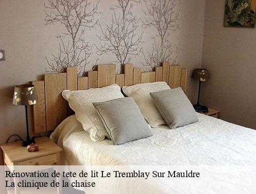 Rénovation de tete de lit  le-tremblay-sur-mauldre-78490 La clinique de la chaise