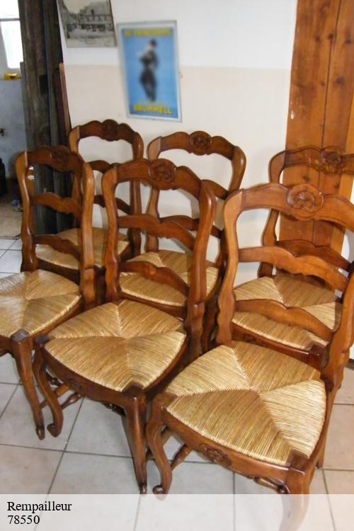 Rempailleur  maulette-78550 La clinique de la chaise