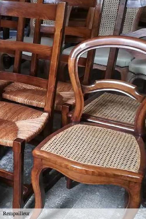 Rempailleur  maulette-78550 La clinique de la chaise